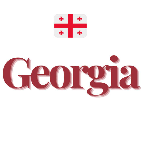 issue 4 - georgia